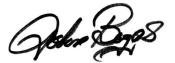 Boggs Signature 